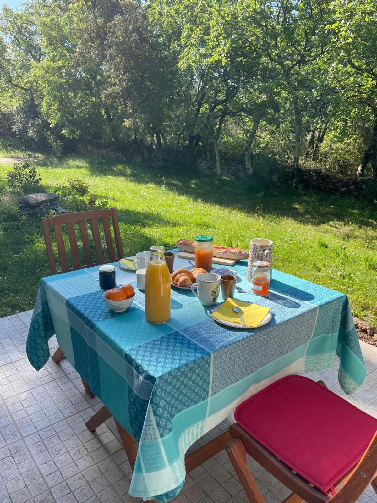 Bed and Breakfast Les Marguerites Vers Pont du Gard Zewnętrze zdjęcie